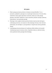 Dempingas 14 puslapis