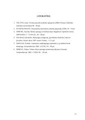 Dempingas 15 puslapis