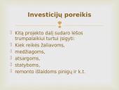 Lėšų poreikis ir finansavimo šaltiniai 3 puslapis