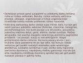 Kenksmingų ir pavojingų veiksnių nustatymo darbo vietoje, technologiniuose ir darbo procesuose bei darbo aplinkoje principai 2 puslapis