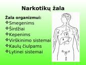 Paauglystė… Narkotinės medžiagos? 11 puslapis