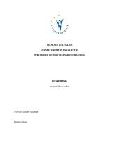 Draudimas. Savarankiškas darbas