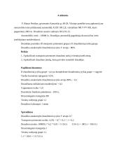 Draudimas. Savarankiškas darbas 11 puslapis