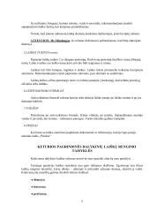 Verslo raštų rengimo principai  5 puslapis