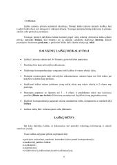 Verslo raštų rengimo principai  6 puslapis