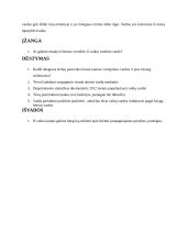 Kokias asmens, šeimos, visuomenės vertybes galime atpažinti iš vaikams duodamų vardų? 3 puslapis