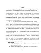 Buhalterinės apskaitos kursinis darbas 2 puslapis