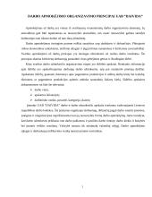 Buhalterinės apskaitos kursinis darbas 11 puslapis