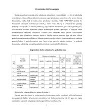 Buhalterinės apskaitos kursinis darbas 13 puslapis