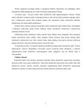 Buhalterinės apskaitos kursinis darbas 15 puslapis