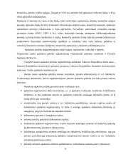 Buhalterinės apskaitos kursinis darbas 6 puslapis