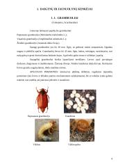 Dekoratyvinių lapuočių ligos ir kenkėjai 4 puslapis
