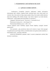 Dekoratyvinių lapuočių ligos ir kenkėjai 7 puslapis