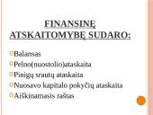 Finansinės atskaitomybės esmė 3 puslapis