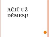 Finansinės atskaitomybės esmė 10 puslapis