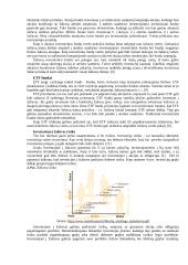 Pagrindinės investavimo į žaliavas priemonės 4 puslapis