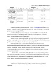 Pagrindinės atminties apkrovos stebėjimas 3 puslapis