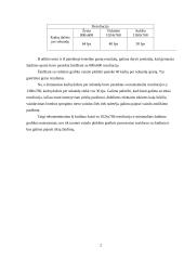 Vaizdo plokštės galimybių tyrimas 2 puslapis