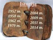 3 pagrindinių ES institucijų (EK, ET ir EP)  funkcijos ir veikimo mechanizmas 5 puslapis