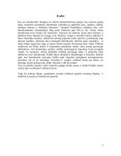 Trumpas referatas apie Atėnų demokratiją 2 puslapis