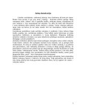 Trumpas referatas apie Atėnų demokratiją 3 puslapis