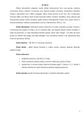 AB TEO LT finansinė analizė 2 puslapis