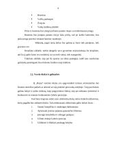 Kaimo turizmo verslas, orientuotas į turistus, keliaujančius poilsio tikslais 4 puslapis