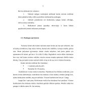 Kaimo turizmo verslas, orientuotas į turistus, keliaujančius poilsio tikslais 5 puslapis