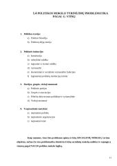 Politikos mokslas kaip socialinis mokslas referatas 11 puslapis