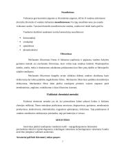 Vandenų apsauga ir nuotekų valymo technologijos 7 puslapis