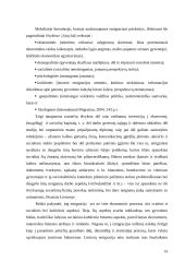 Emigracijos samprata, priežastys ir veiksniai 16 puslapis