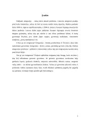 Emigracijos samprata, priežastys ir veiksniai 3 puslapis
