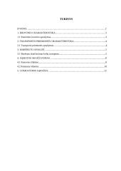 Maršruto paskaičiavimas iš Vokietijos į Lietuvą gabenant krovinį kelių transportu 2 puslapis