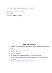 Maršruto paskaičiavimas iš Vokietijos į Lietuvą gabenant krovinį kelių transportu 12 puslapis