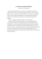 Maršruto paskaičiavimas iš Vokietijos į Lietuvą gabenant krovinį kelių transportu 3 puslapis