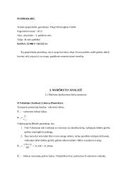 Maršruto paskaičiavimas iš Vokietijos į Lietuvą gabenant krovinį kelių transportu 5 puslapis