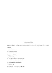 Maršruto paskaičiavimas iš Vokietijos į Lietuvą gabenant krovinį kelių transportu 10 puslapis