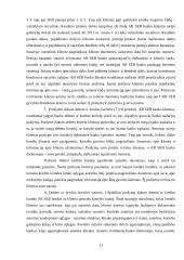 SEB banko baigiamosios praktikos ataskaita 13 puslapis