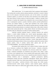 SEB banko baigiamosios praktikos ataskaita 15 puslapis