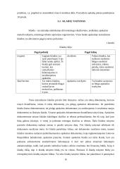 SEB banko baigiamosios praktikos ataskaita 16 puslapis