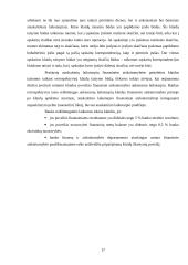 SEB banko baigiamosios praktikos ataskaita 17 puslapis