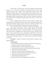 SEB banko baigiamosios praktikos ataskaita 4 puslapis