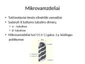 Pernaša mikrovamzdeliais 2 puslapis
