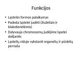 Pernaša mikrovamzdeliais 3 puslapis