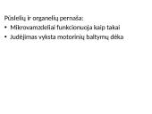 Pernaša mikrovamzdeliais 4 puslapis