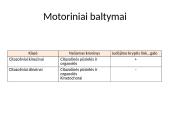 Pernaša mikrovamzdeliais 5 puslapis