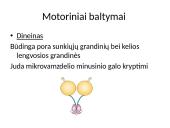 Pernaša mikrovamzdeliais 7 puslapis