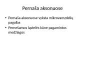 Pernaša mikrovamzdeliais 9 puslapis