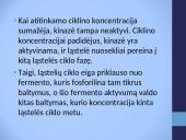 Cikliškai aktyvuojamų proteino kinazių ir ciklinų vaidmuo ląstelės cikle 4 puslapis