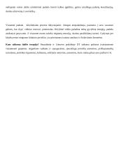 Dailės terapijos nauda neįgaliesiems 4 puslapis